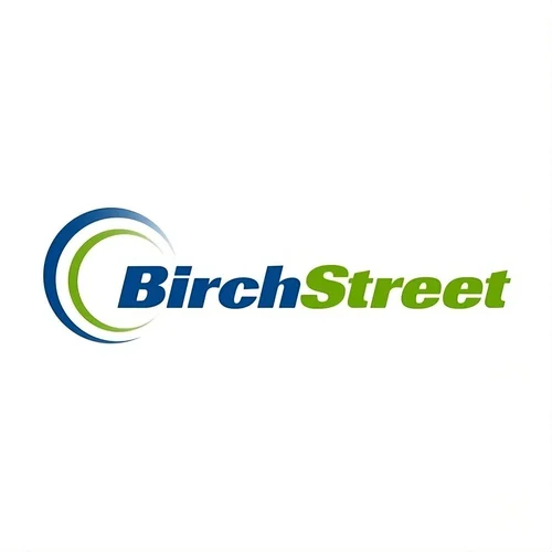 BirchStreet Systems - Cloud Based Procure-to-Pay